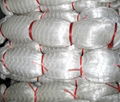 Fishing Brid Net supplier protect nets 1