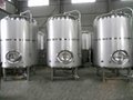 3000L Hot sale  craft  bright beer tanks BBT