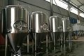 1000L Commercial  beer bar  brewing