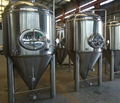 2000L Commercial  dimple jacket  brewing system 3