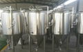 3000L Hot sale  craft  fermenting tank 1