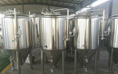 3000L Hot sale  craft  fermenting tank