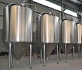 3000L Hot sale  craft  fermenting tank 3