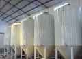 5000L Hot sale  with CE ISO  fermenting tank fermentation fermenter 2