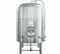 1000L Hot selling  micro brewery  bright beer tanks