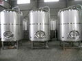 3000L Hot selling stainless steel bright beer tanks 1