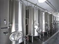 3000L Hot selling stainless steel bright beer tanks 2