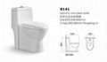 siphonic one-piece toilet 1