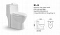 siphonic one-piece toilet