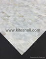 10*20mm pure white Mother of Pearl Shell