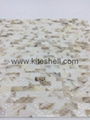 10*20mm pure white Mother of Pearl Shell Mosaic Tiles 3