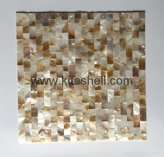 15*30mm varied Freshwater Shell Mosaic Tiles