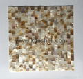 15*30mm varied Freshwater Shell Mosaic Tiles 1