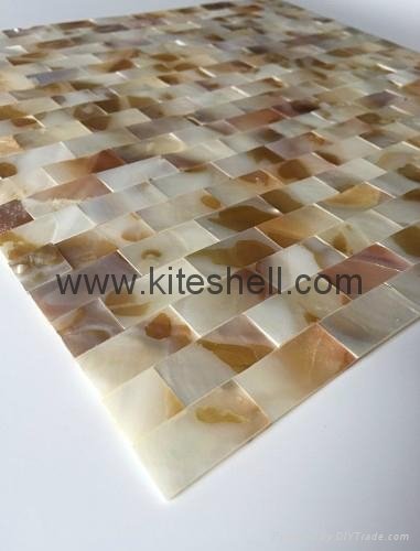 15*30mm varied Freshwater Shell Mosaic Tiles 2