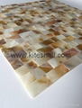 15*30mm varied Freshwater Shell Mosaic Tiles 2