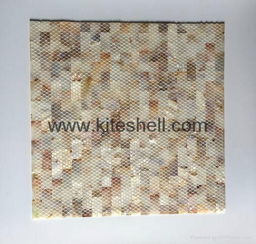 15*30mm varied Freshwater Shell Mosaic Tiles 3
