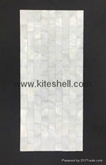 10*20mm pure white Freshwater Shell Mosaic Tiles