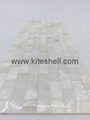 10*20mm pure white Freshwater Shell Mosaic Tiles 2