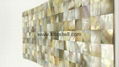 15*15mm Yellowlip  Seashell Mosaic Tiles