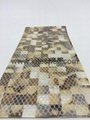 15*15mm Yellowlip  Seashell Mosaic Tiles 2