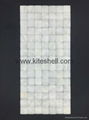 20*20mm Arch pure white Freshwater Shell Mosaic Tiles 1