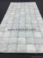 20*20mm Arch pure white Freshwater Shell Mosaic Tiles 2