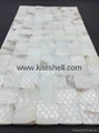 20*20mm Arch pure white Freshwater Shell Mosaic Tiles 3