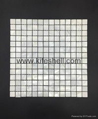 20*20mm pure white Freshwater Shell Mosaic Tiles