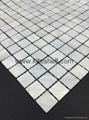 20*20mm pure white Freshwater Shell Mosaic Tiles 2