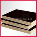 phenolic film faced plywood black film faced plywood