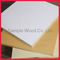 Melamine Surface plywood