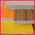 Melamine Surface plywood 2