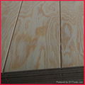  pine  plywood grooved  plywood 