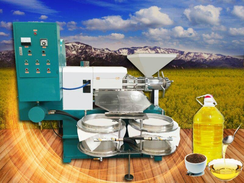 2017 popular sesame oil press machine with good performance 5