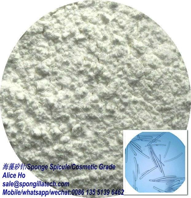 High Purity white color Spongilla Spicule Needle Used for skin care product