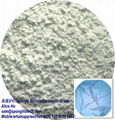 High Purity white color Spongilla