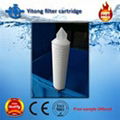 PES Pleated Membrane Filter Cartridge 1