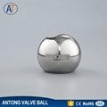 2017 high quality stainless steel v-shaped ball  with all types