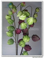 Artificial Flowers Physialis Persuviana 9heads