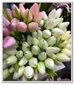 Artificial Flowers Real Touch Tulip Bouquets 12pcs per bunch 2
