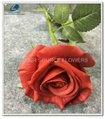 Artificial flowers real touch flowers single stem Rose 2