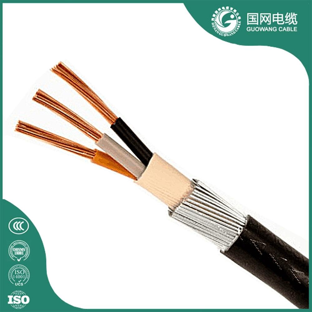  0.6/1kV 10mm 3 Core XLPE Insulation Armoured Cable IEC60502 3