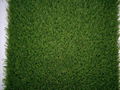 Garden Artificial Grass with 25mm yarn height 5