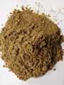 Meat powder 1