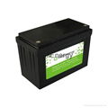 12V100Ah deep cycle lifepo4 battery 3