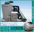 3T flake ice machine for food processing stainless steel ice machine price 5