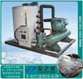 10T flake ice machine for aquatic food processing sea food ice maker supplier 4