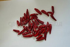 Hot chili powder