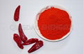 Hot chili powder 4