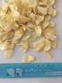 Dehydrated garlic flakes 2